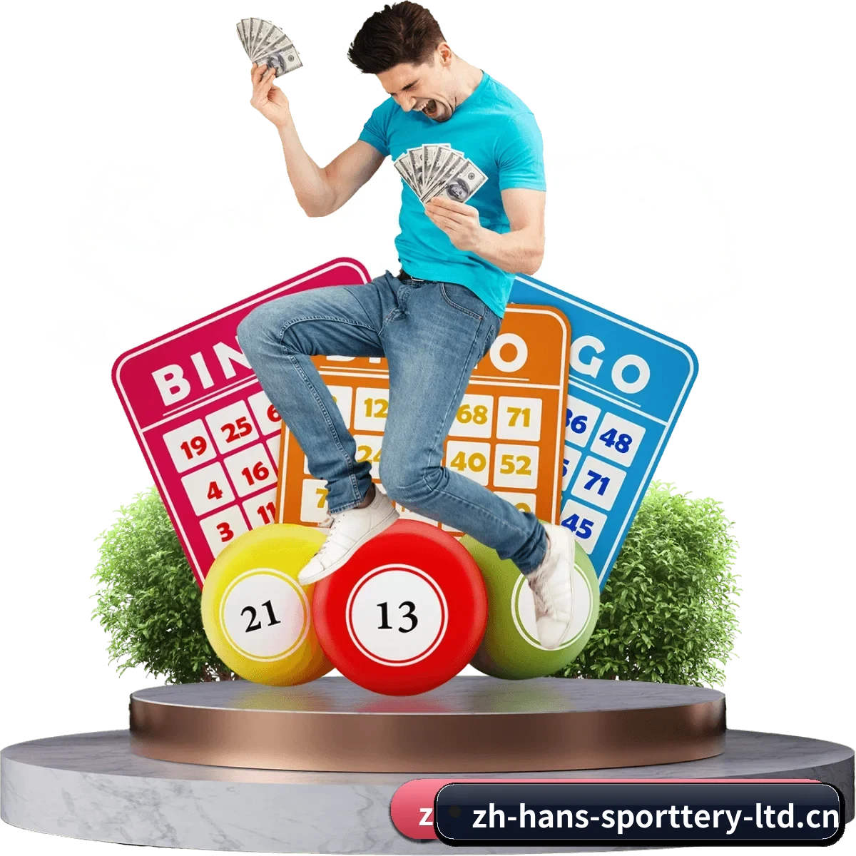 数字化生态重构